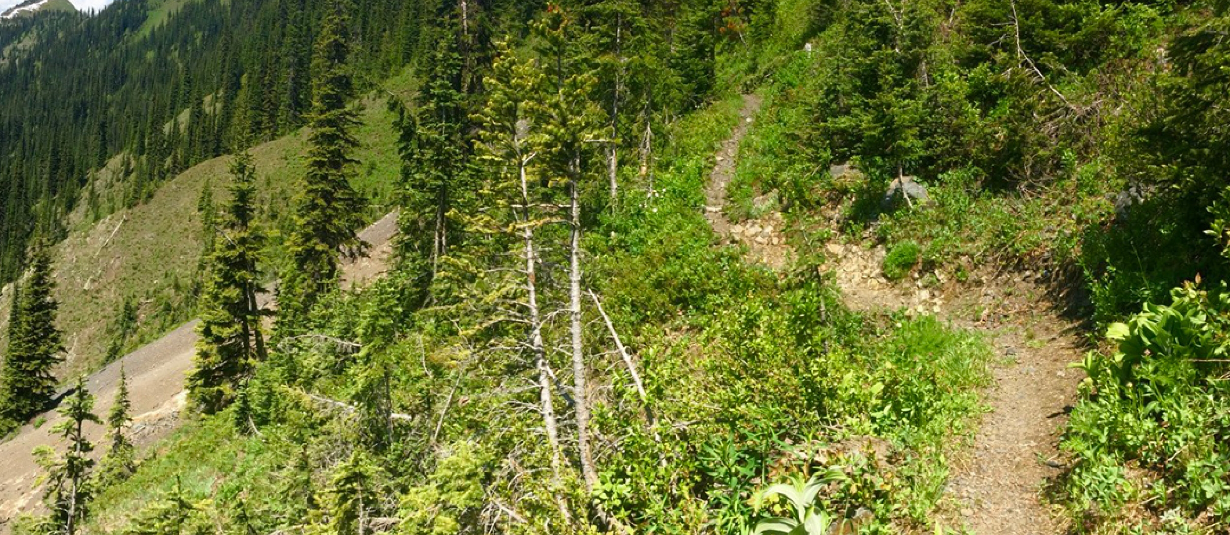 Idaho Peak Trailhead