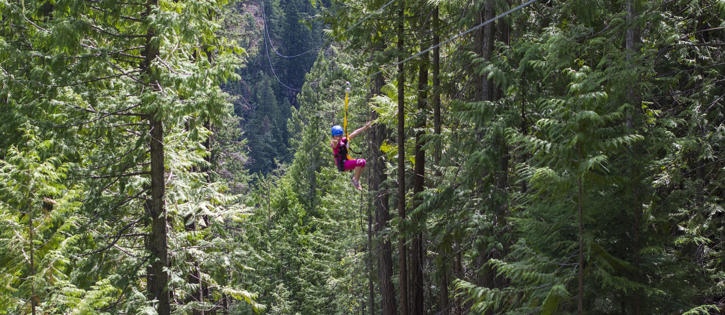 young girl in pink zip-lining through the forest in Kokanee Provincial Park