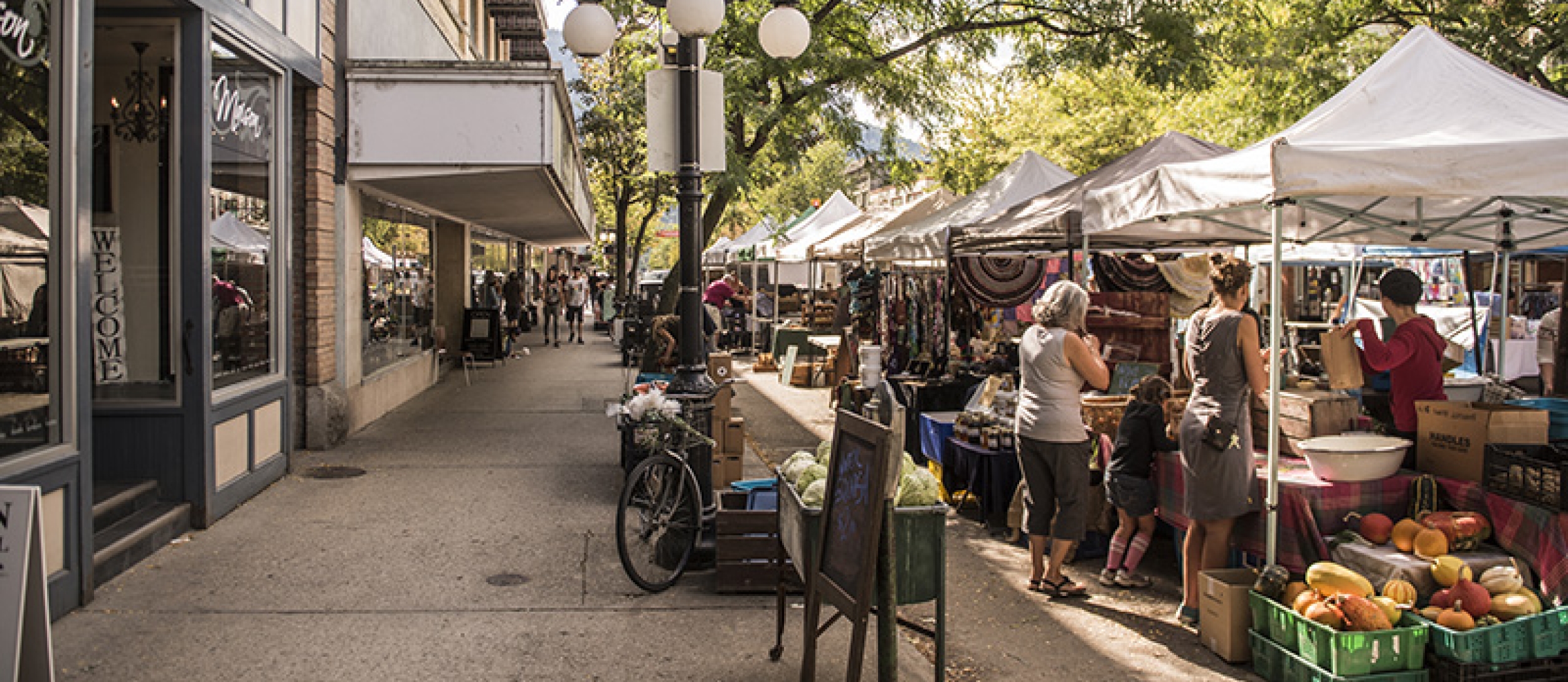 Nelson Downtown Market