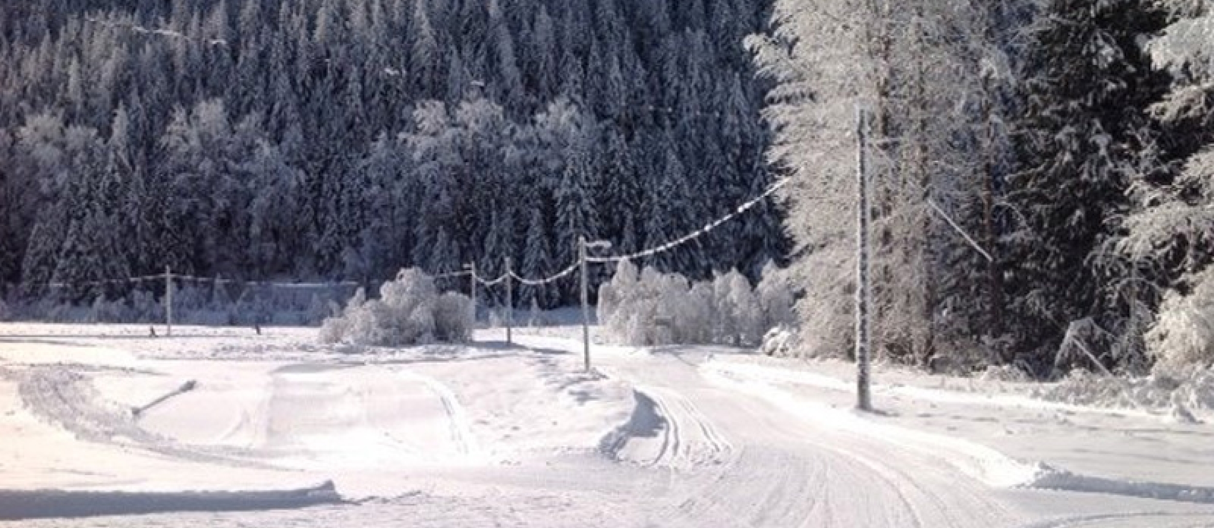 Nelson Nordic Ski Club