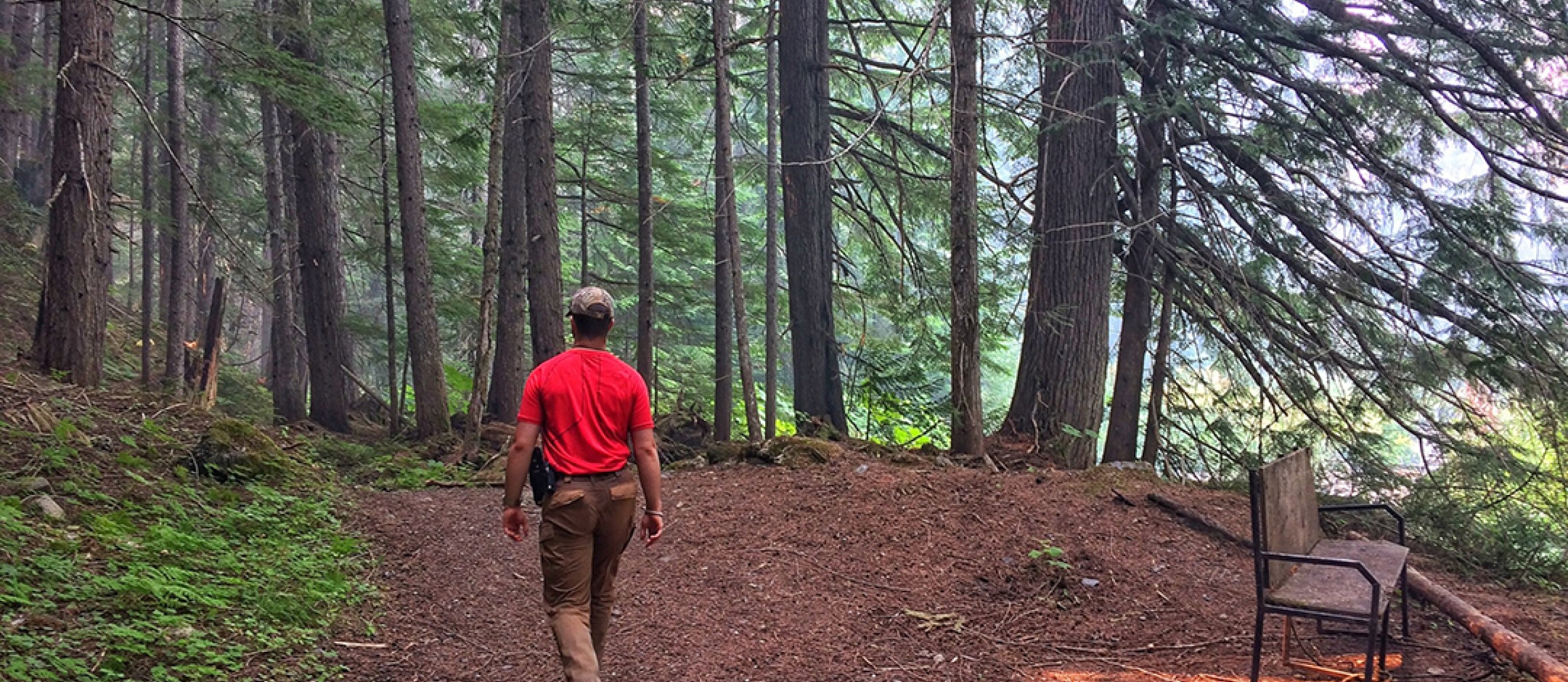 Retallack Old Growth Cedars Trailhead