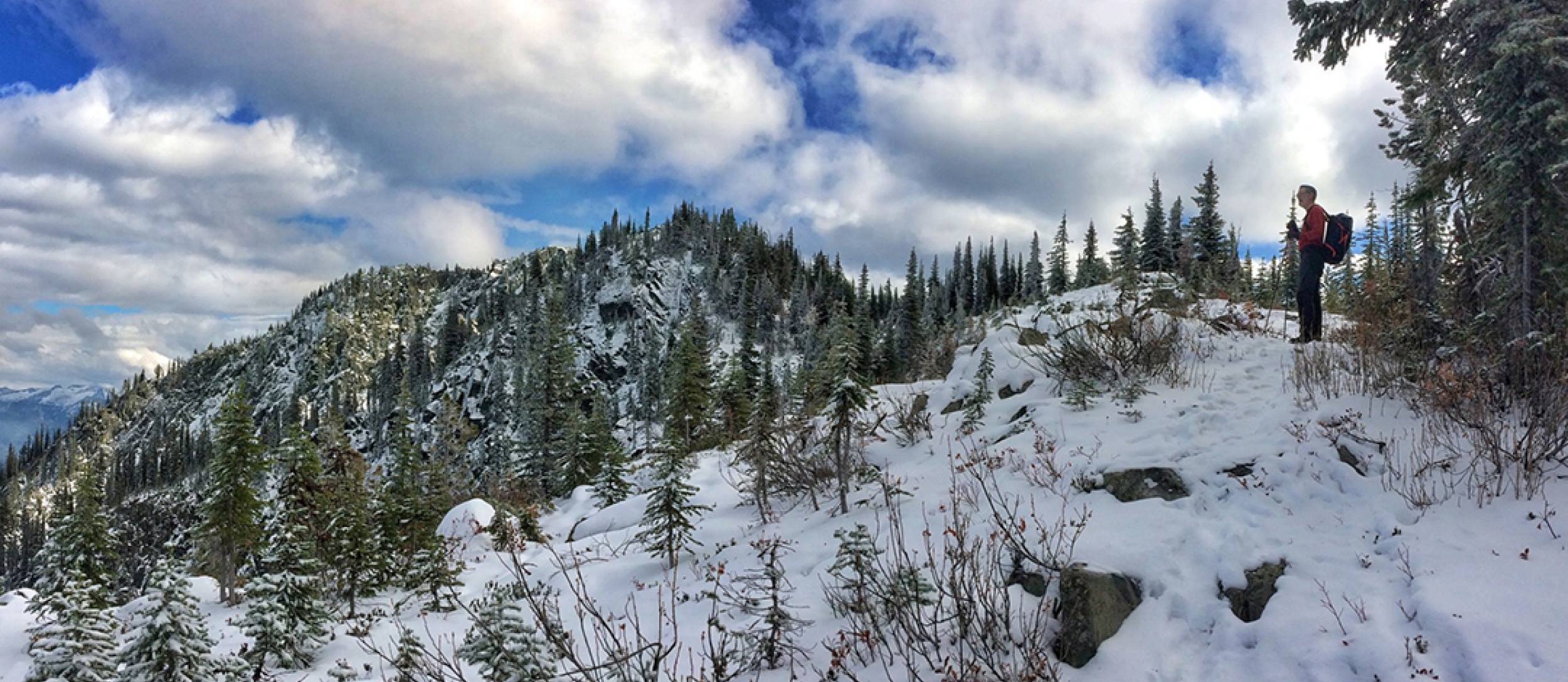 Toad Mountain Trailhead