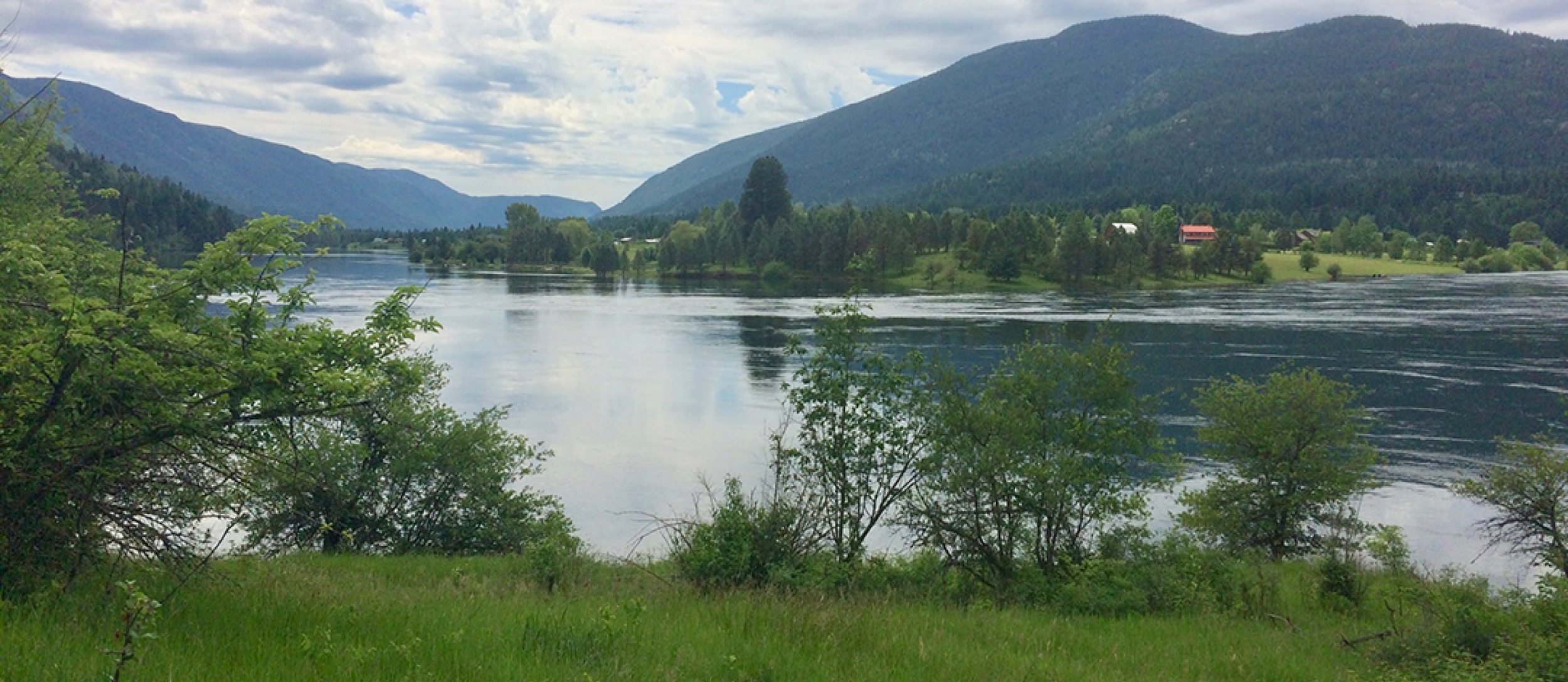 Ward's Ferry Trail Trailhead