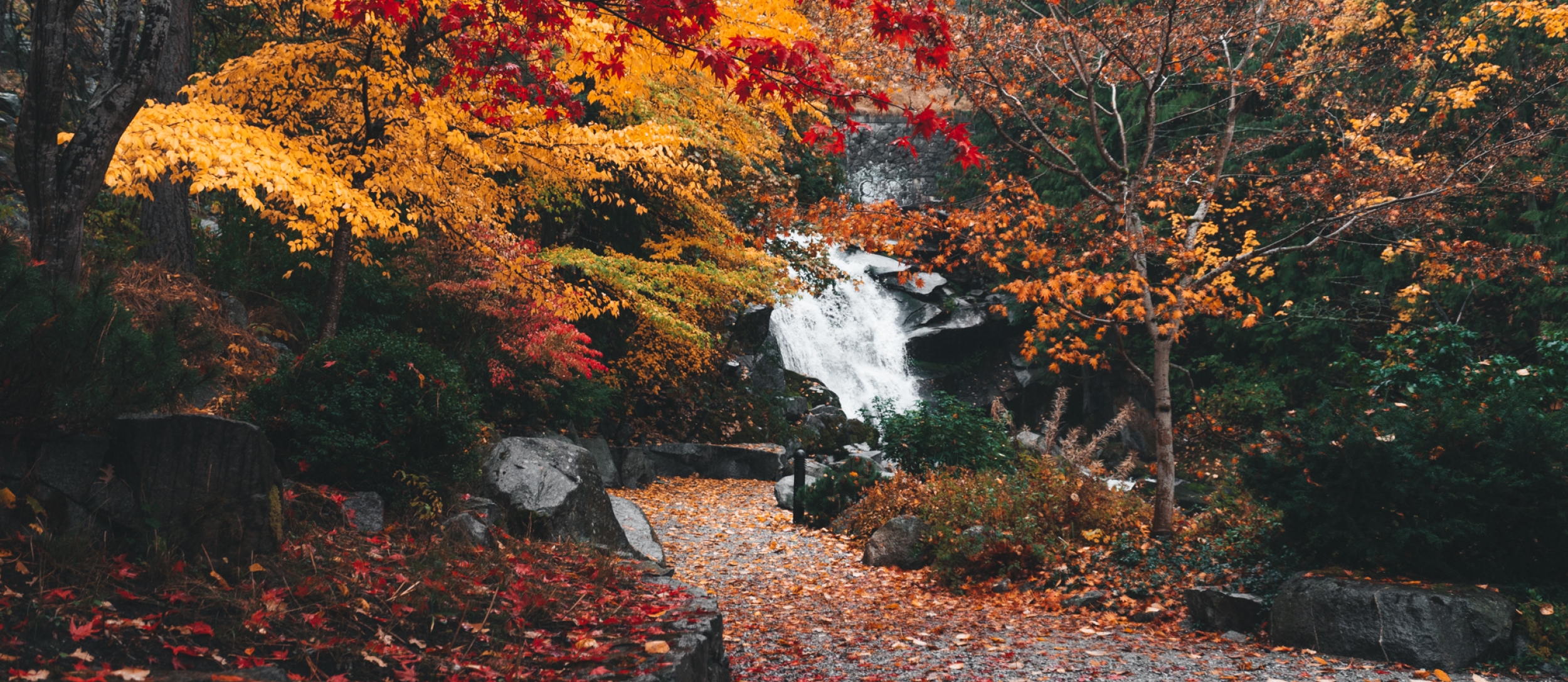 Beautiful fall colours with waterfall.