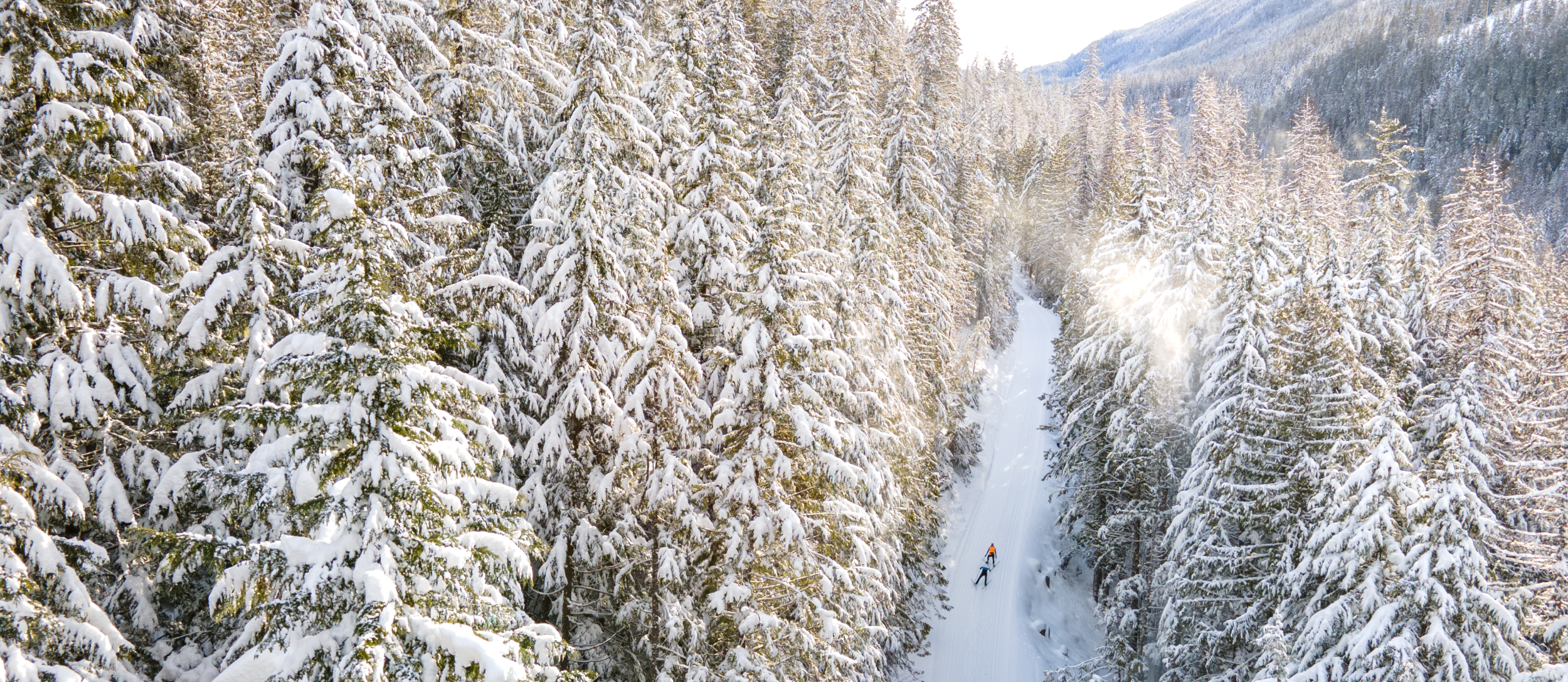 XC Skiing