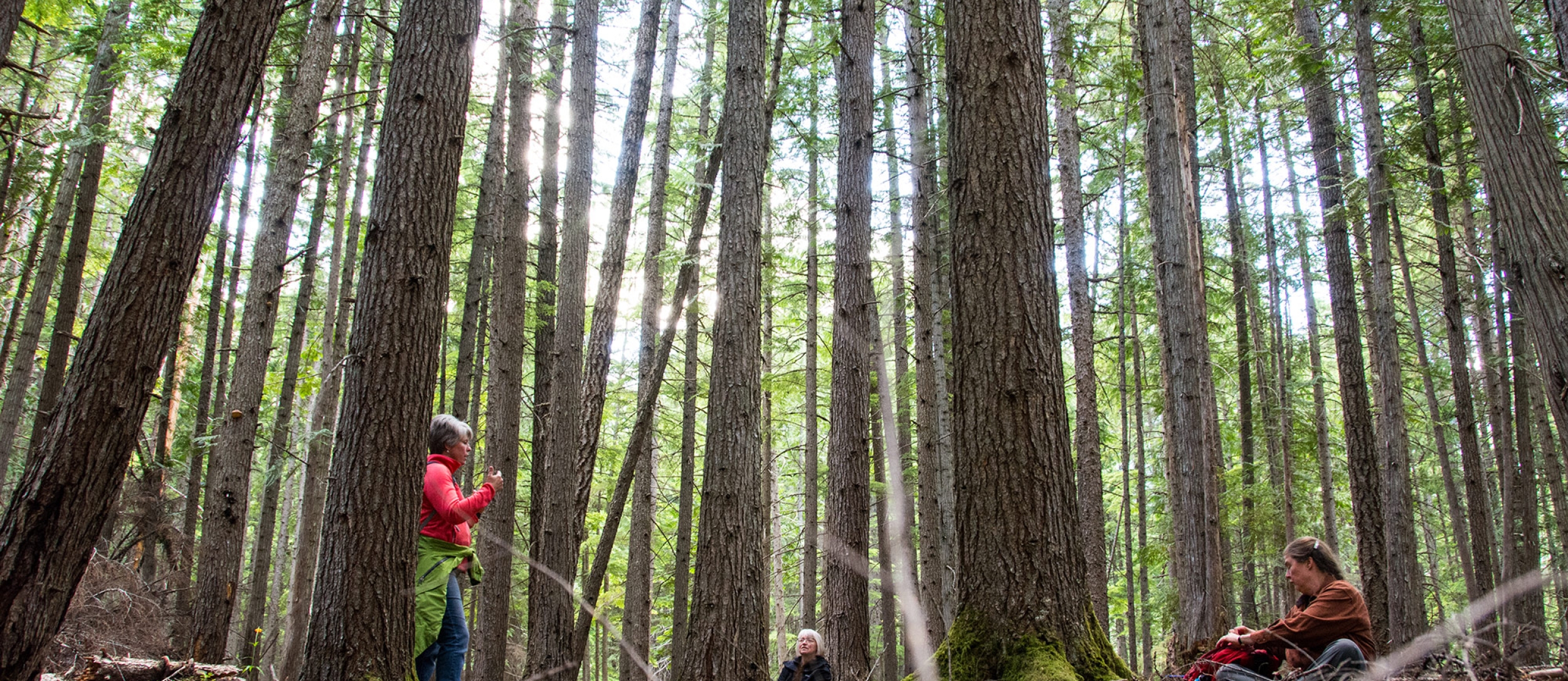 Several people sitting on the forest floor in Kaslo, BC