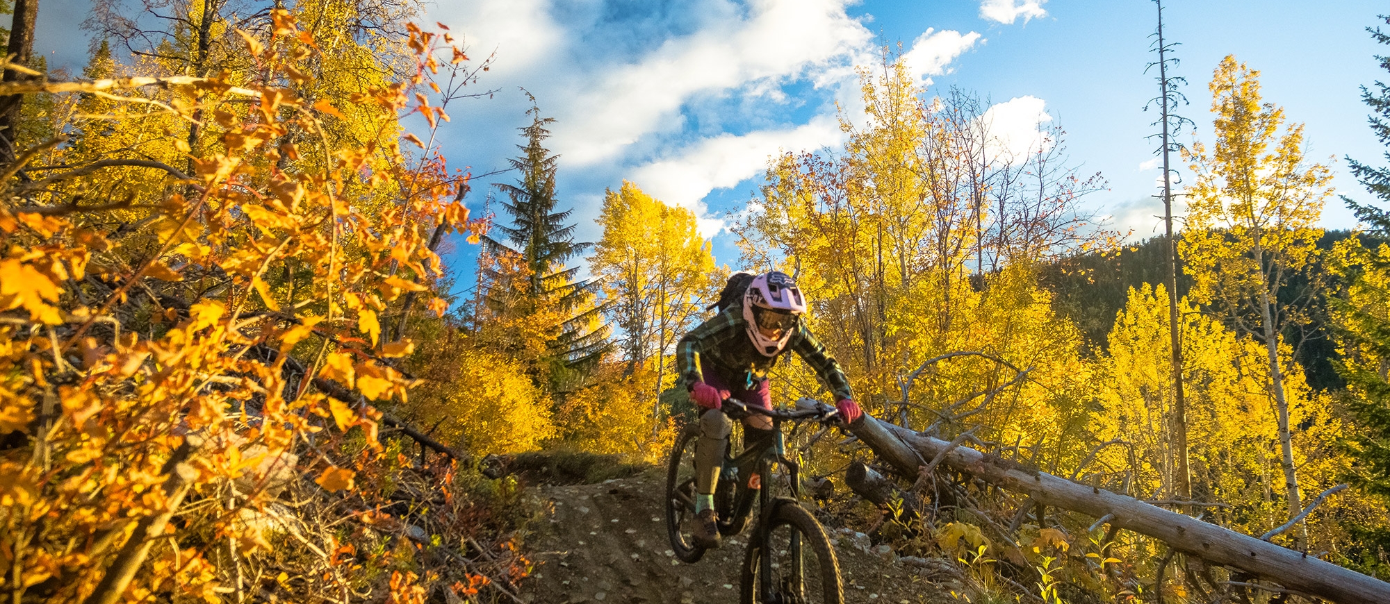 A person riding down a steep mountain bike trail surrounded by vibrant fall colours.