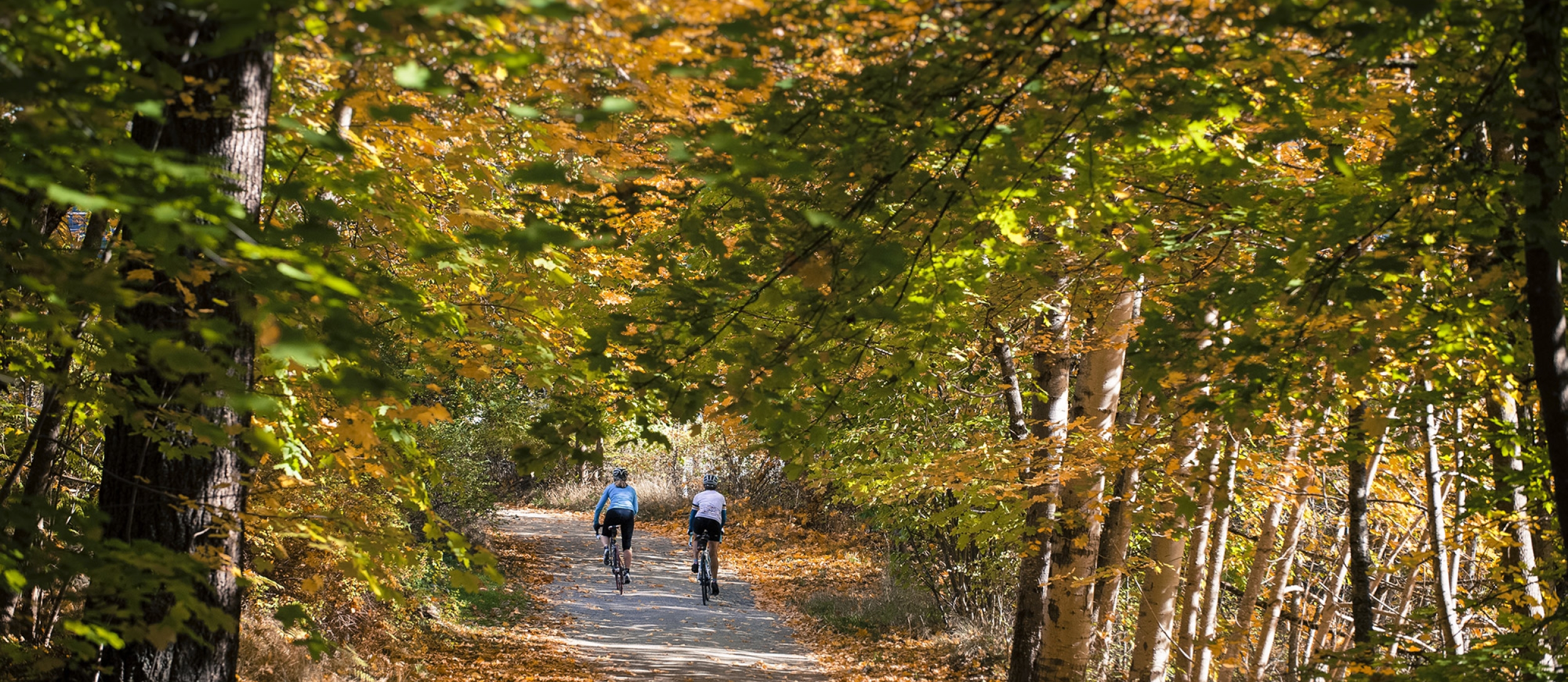 Two cyclists on a back road near Nelson, BC surrounded by trees. 