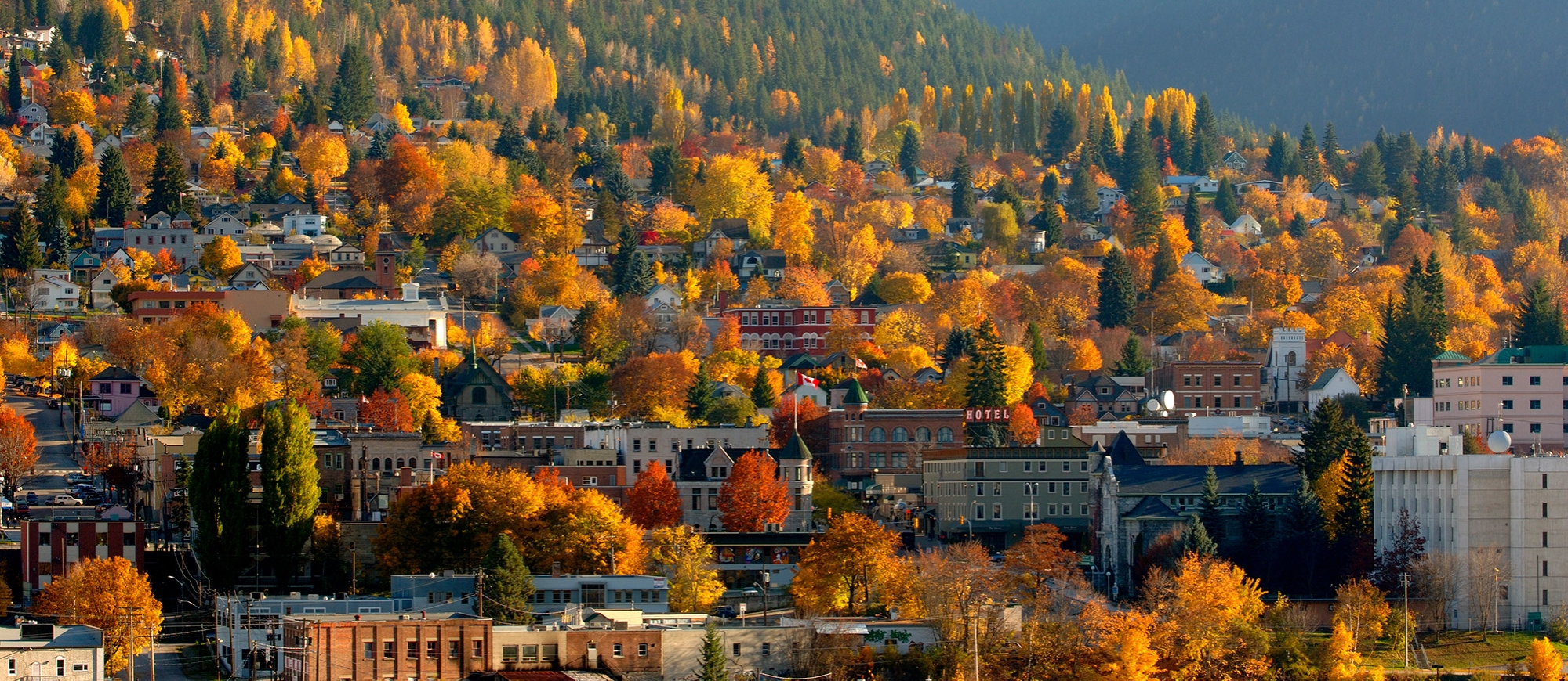 View of Nelson, BC will yellow and orange trees covering the town
