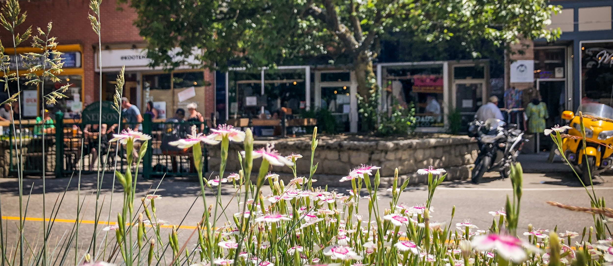 Spring flowers and people walking in Nelson on Baker Street