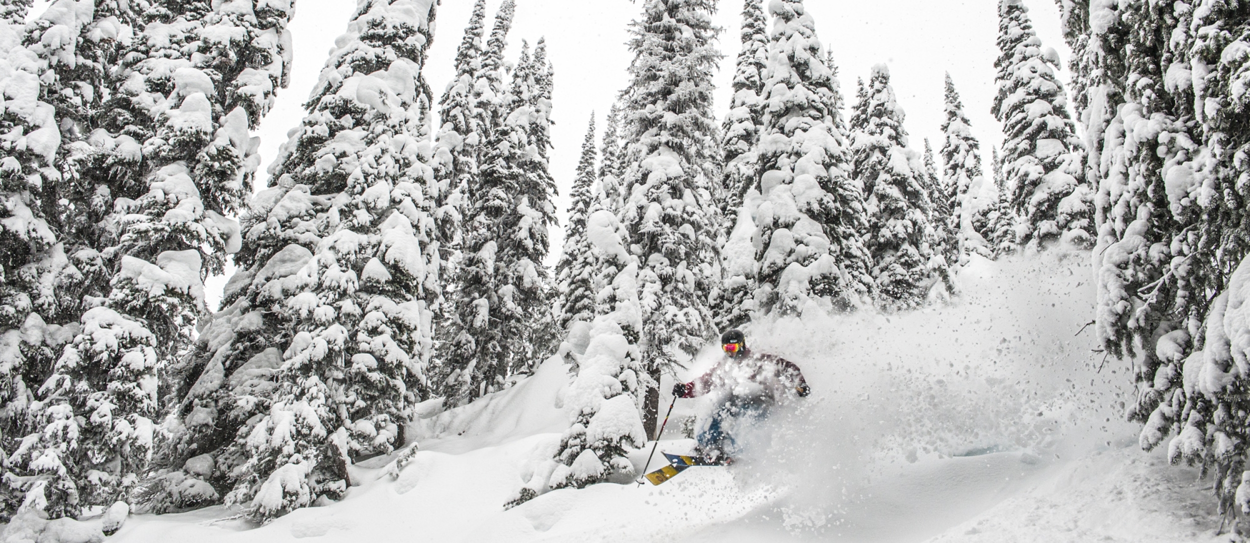 A skiier in deep powder at Whitewater Ski Resort near Nelson, BC.