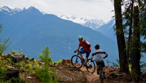 Two mountain bikers