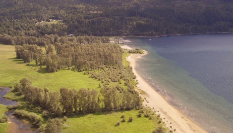 Aerial view of wetlands, cottonwood forest and Kootenay Lake, BC