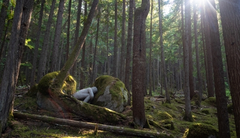 A concrete sculpture hiding in the forest along the Kaslo River Trail.