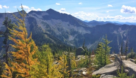 Mountain landscape, blue skies and larches.