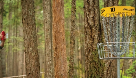 Man playing disc golf in Kaslo.