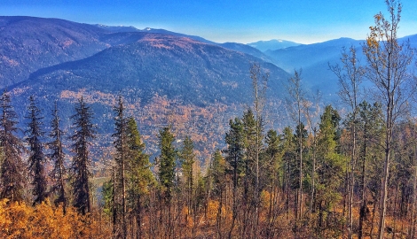 CBC Tower Trail Head