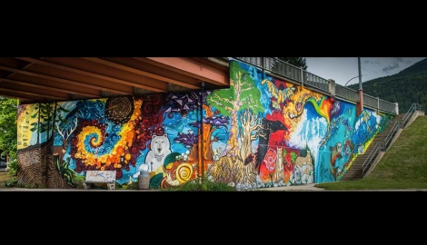 Colours of Nelson: A Mural Projects