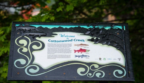 Cottonwood Creek Sign