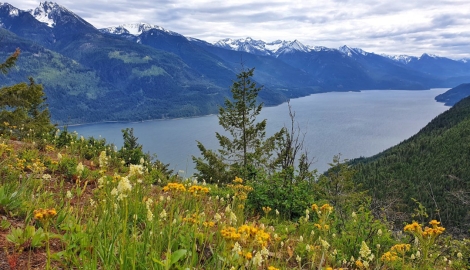 Davis Creek Trailhead