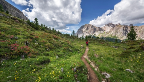 Mountain path on sunny day with lots of greenery, with person on path taking a photo of mountains beyond