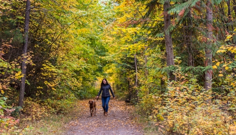 Great Northern Rail Trail