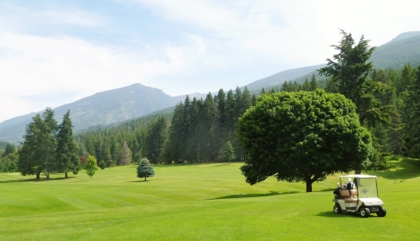 the greens, a tree and a golf cart at the Riondel Golf Club