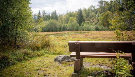 Grohman Narrow Regional Park