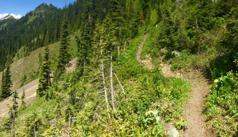 Idaho Peak Trailhead