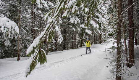 Kaslo Nordic Ski Club