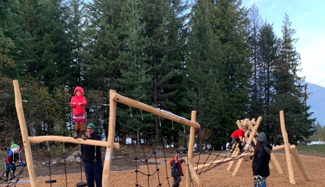 Children playing on a climbing frame structure at Rosemont Park