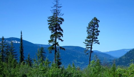 Svoboda Road Biking Trailhead