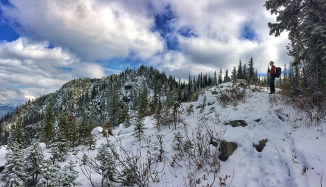 Toad Mountain Trailhead