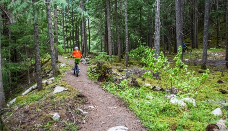 A boy riding his bike on trail in Kaslo, BC.