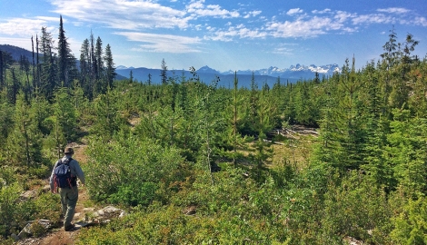 Vallelujah Trailhead