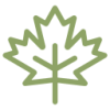 Maple leaf icon